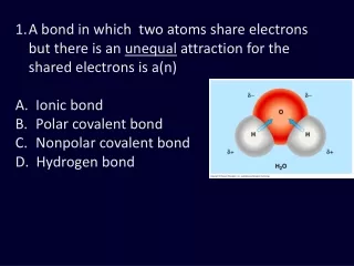 Before Transfer 11 Protons (+) 11 Electrons (-) After Transfer 11 Protons (+) 10 Electrons (-)