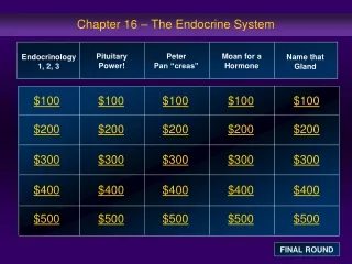 Chapter 16 – The Endocrine System
