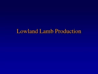 Lowland Lamb Production