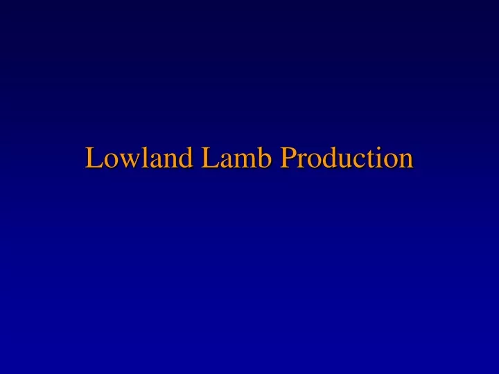 lowland lamb production