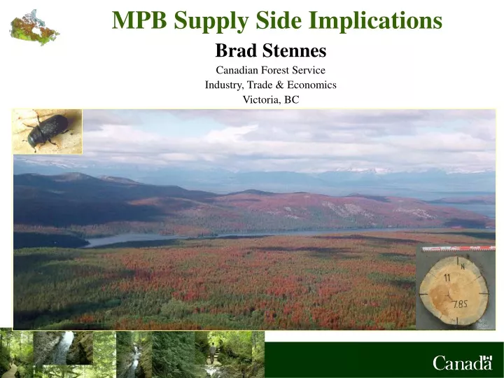 mpb supply side implications