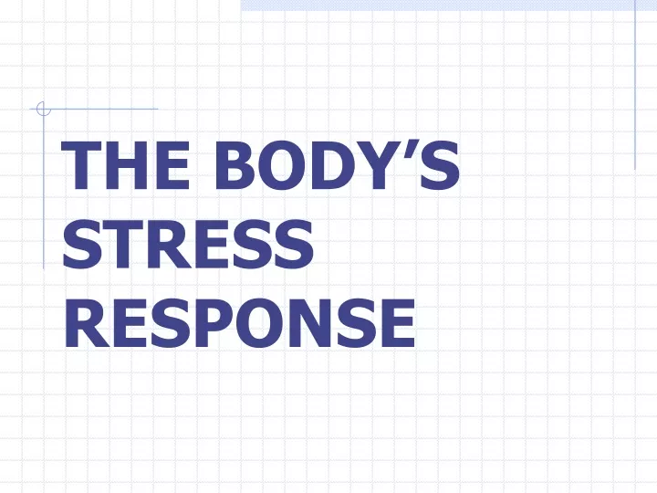 the body s stress response
