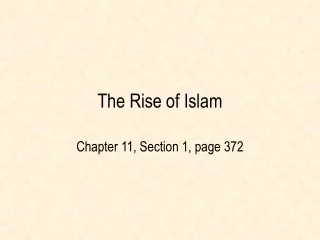 The Rise of Islam