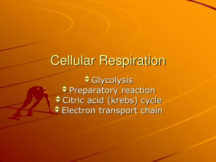 cellular respiration