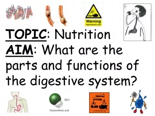TOPIC : Nutrition AIM : What are the parts and functions of the digestive system?