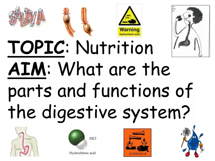 topic nutrition aim what are the parts and functions of the digestive system