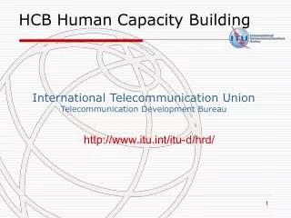 International Telecommunication Union Telecommunication Development Bureau