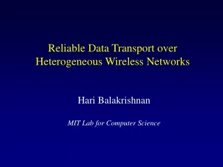 Reliable Data Transport over  Heterogeneous Wireless Networks