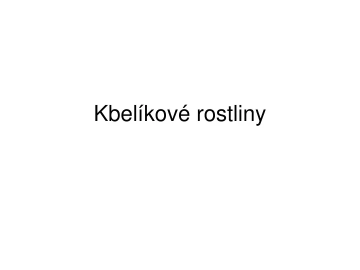 kbel kov rostliny