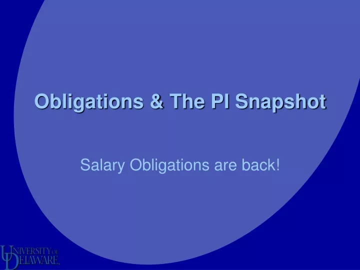 obligations the pi snapshot