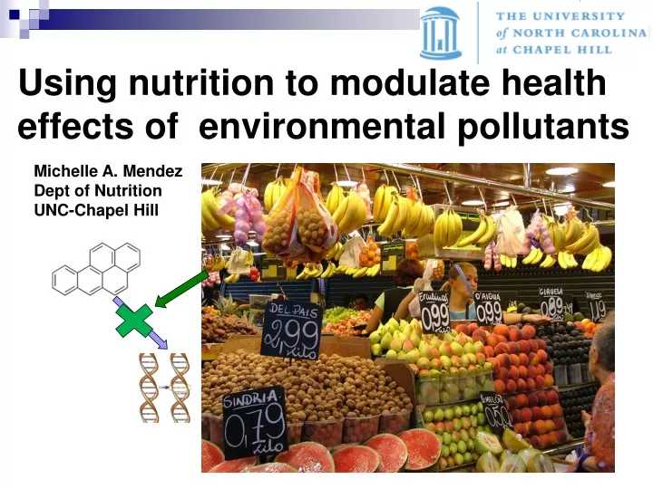 using nutrition to modulate health effects of environmental pollutants