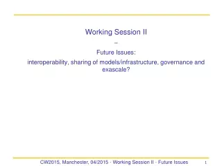 Working Session II  –  Future Issues: