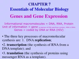 CHAPTER 7 Essentials of Molecular Biology
