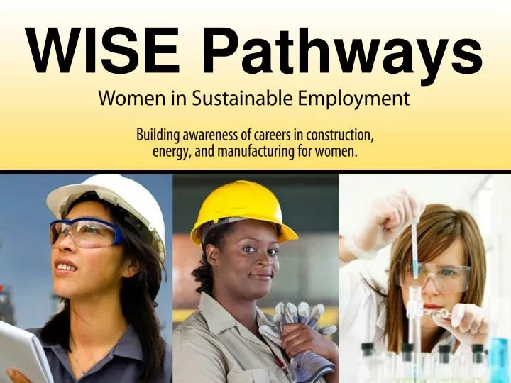 wise pathways women in sustainable employment