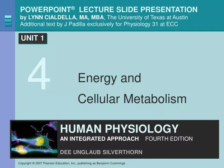 energy and cellular metabolism