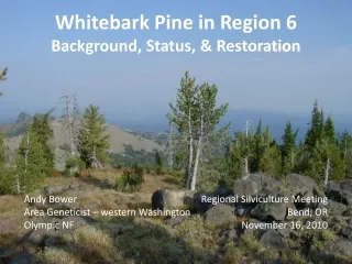 Whitebark Pine in Region 6 Background, Status, &amp; Restoration