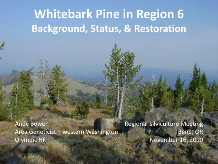 whitebark pine in region 6 background status restoration