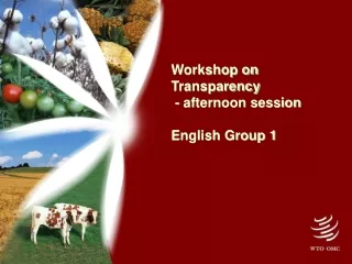 Workshop on Transparency  - afternoon session English Group 1