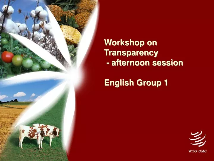 workshop on transparency afternoon session english group 1