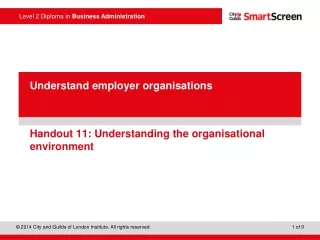 Handout 11: Understanding the organisational environment