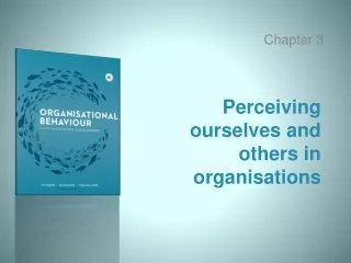 Perceiving ourselves and others in organisations