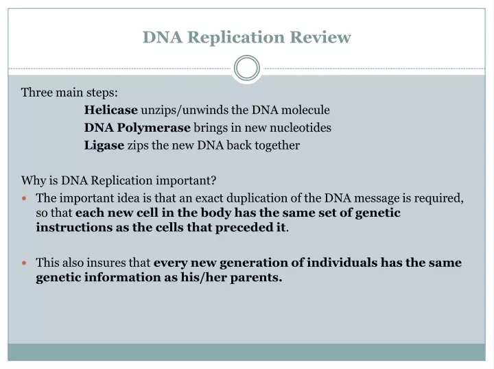 dna replication review