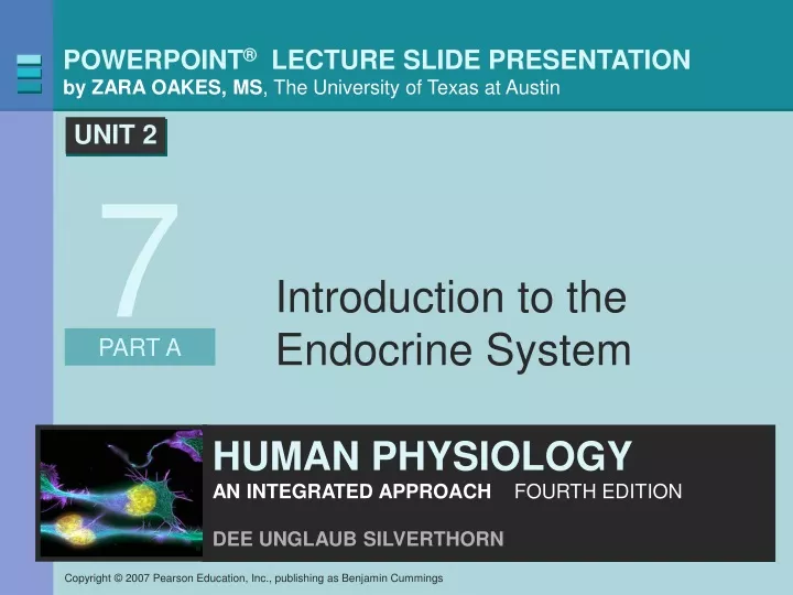 introduction to the endocrine system