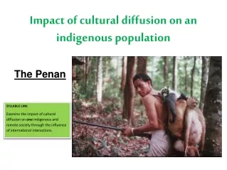 Impact of cultural diffusion on an indigenous population