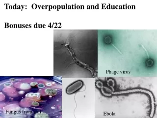 Ebola