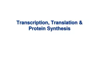 Transcription, Translation &amp; Protein Synthesis