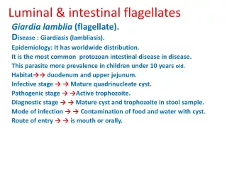 Luminal &amp; intestinal flagellates