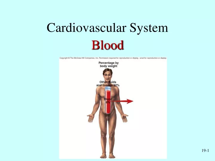 cardiovascular system blood