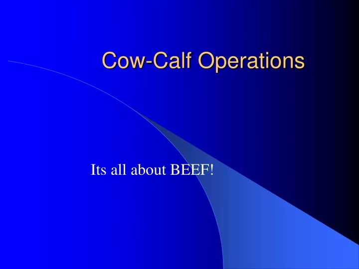 cow calf operations