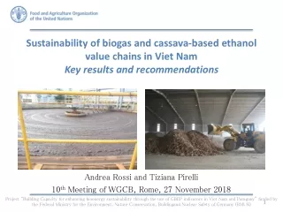 Andrea Rossi and  Tiziana  Pirelli 10 th  Meeting of WGCB, Rome, 27 November 2018
