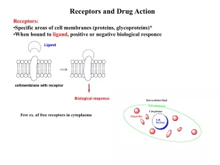 Receptors and Drug Action