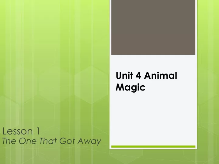 unit 4 animal magic