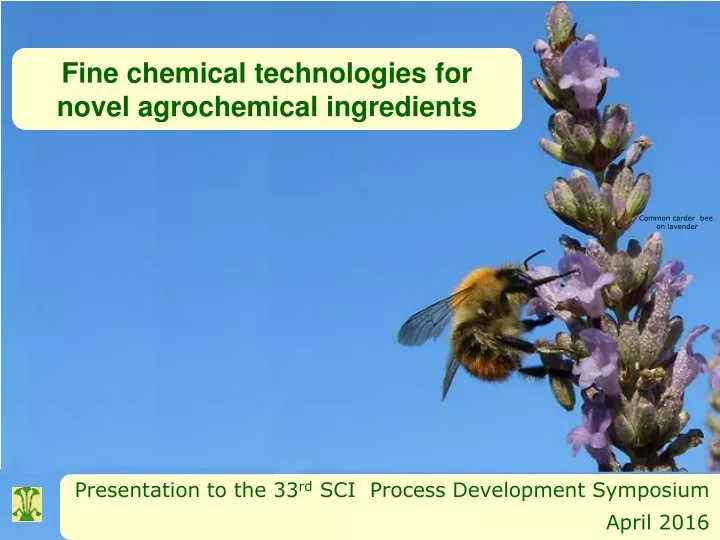 fine chemical technologies for novel agrochemical