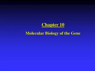 Chapter 10 Molecular Biology of the Gene