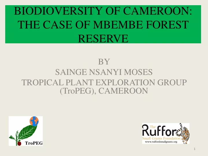 biodioversity of cameroon the case of mbembe forest reserve