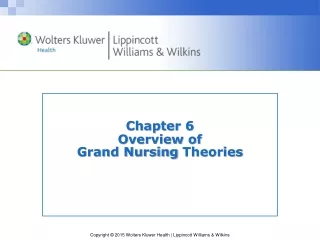Chapter  6 Overview of  Grand Nursing  Theories