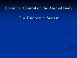 Chemical Control of the Animal Body:  The Endocrine System