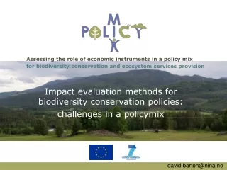 Assessing the role of economic instruments in a policy mix