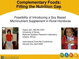 Complementary Foods:  Filling the Nutrition Gap