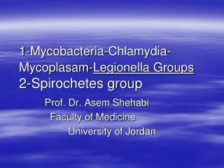 1-Mycobacteria-Chlamydia-Mycoplasam- Legionella Groups 2-Spirochetes group