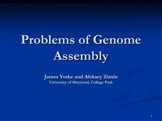Problems of Genome Assembly