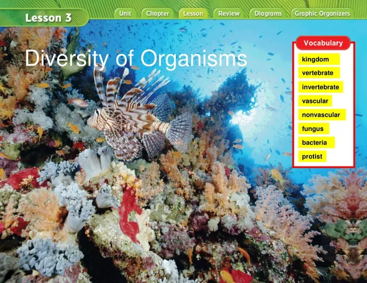 diversity of organisms