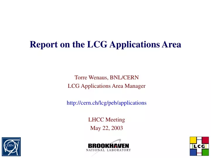 report on the lcg applications area