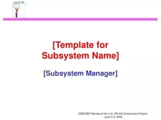 [Template for Subsystem Name]