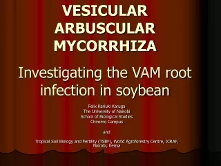 VESICULAR ARBUSCULAR MYCORRHIZA Investigating the VAM root infection in soybean