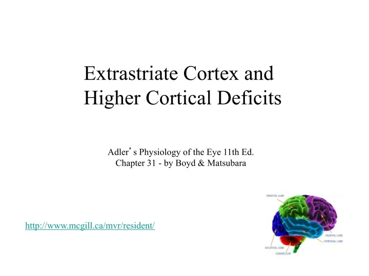 extrastriate cortex and higher cortical deficits